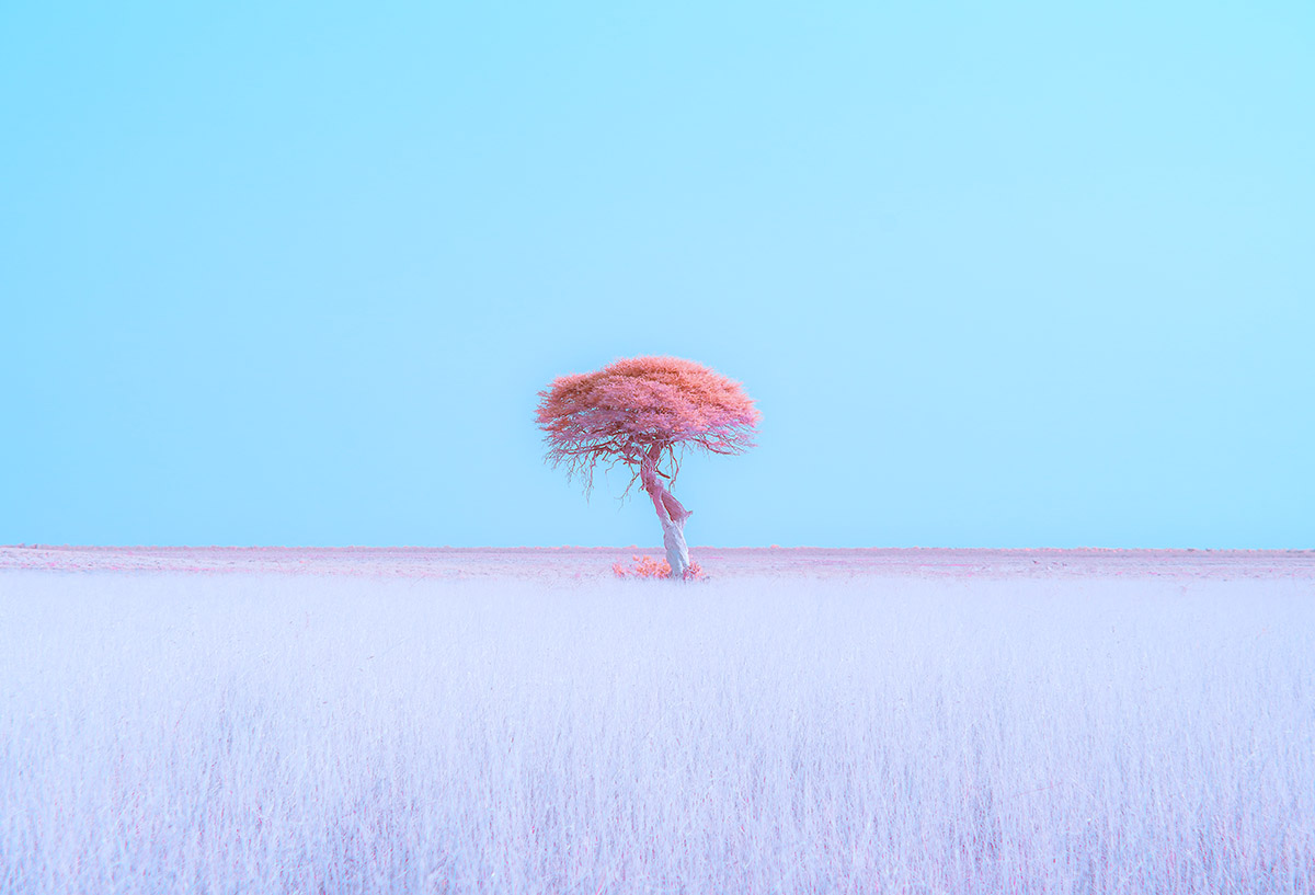 Minimalist Photography Awards