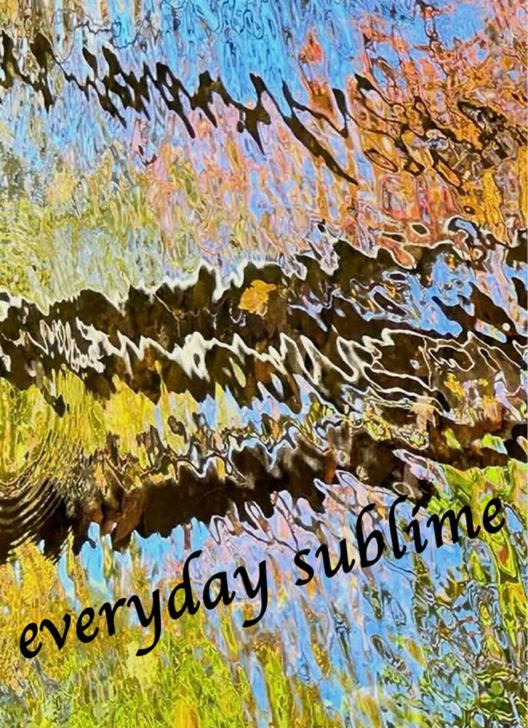 Everyday Sublime: 11th Annual Juried Show